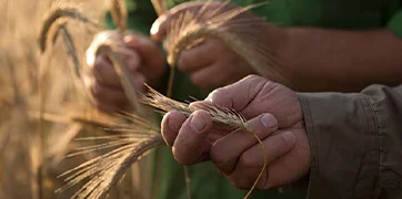 Impacter positivement nos écosystèmes