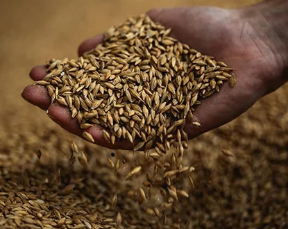 projet LIFE FWFB et Projet Circle